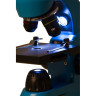 Микроскоп LEVENHUK Rainbow 50L Azure\Лазурь 69048